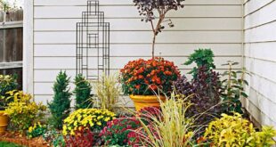 Know These Garden Basics and You'll Have the Best Garden on the .