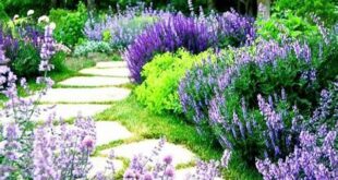 23+ Outstanding Flower Garden Ideas 2019 #flower #garden #Ideas .