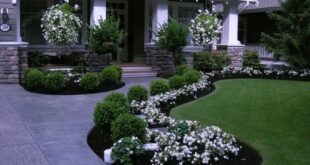 so beautiful! | Front yard garden, Front yard, Front yard landscapi