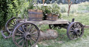 14 Rustic Garden Wagon Ideas For A Country Garden - Garden Lovers .