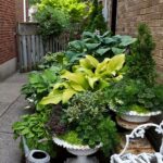 Side-yard container garden. | GreenFuse Photos: Garden, farm .