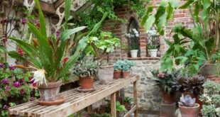 Greenhouses: A World of Natural Beauty | Classic garden .