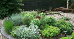 Autumn Cottage Diarist | Herb garden design, Garden landscape .