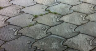 Interlocking fish! | Yard Art | Pinterest | Fish, Cement Pavers .