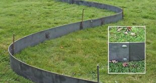 Creating the Perfect Lawn Edging for your Garden metal lawn edging .