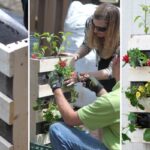 Pallet Gardening - Clay's Garden Center, In