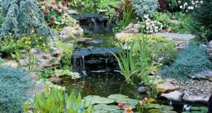 Water Garden Landscaping Ideas | Ponds backyard, Pond landscaping .