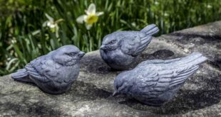 Trio d'Oiseaux (3 ps) | Stone garden statues, Campania .