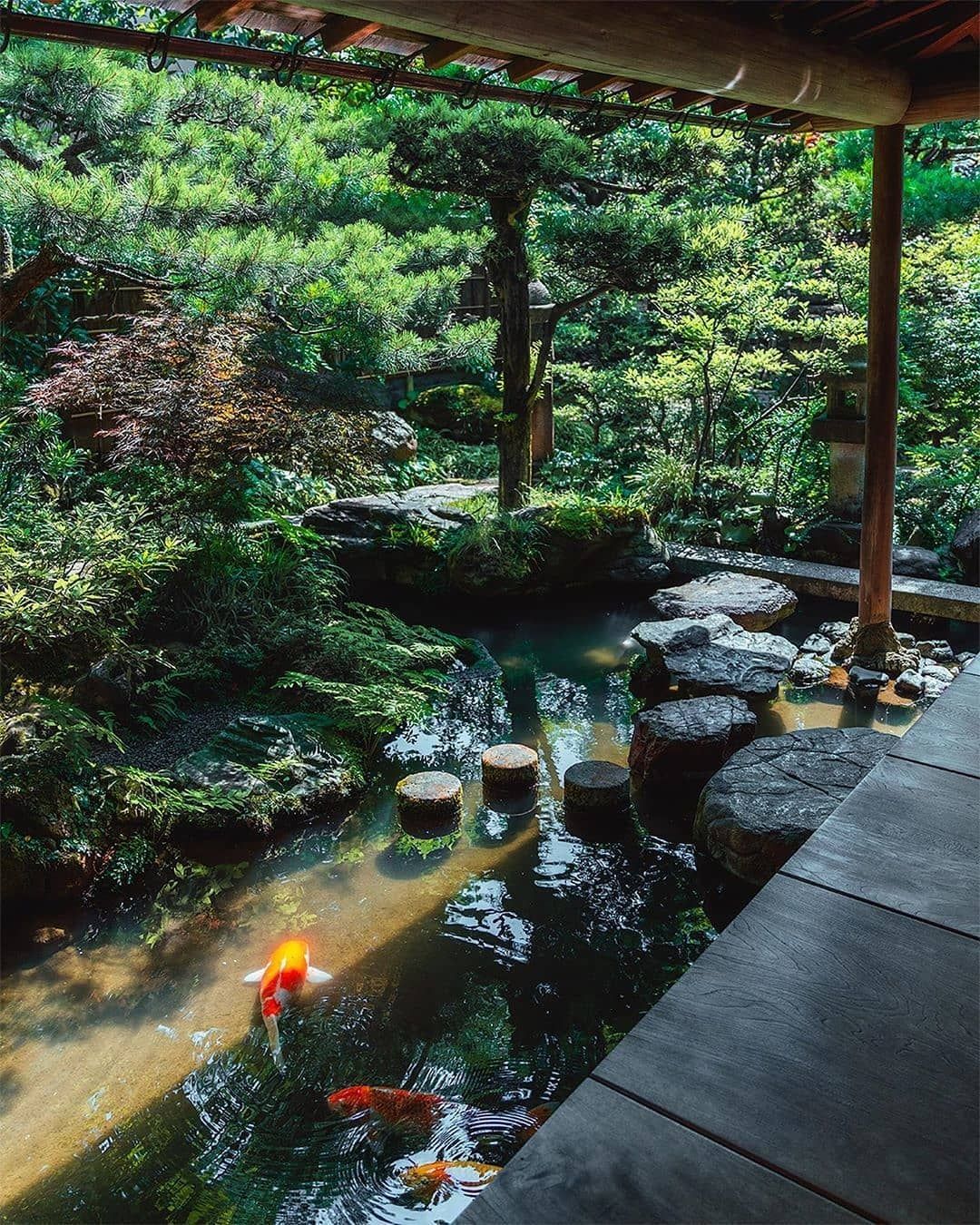 Exploring the Serene Beauty of Japanese
  Gardens