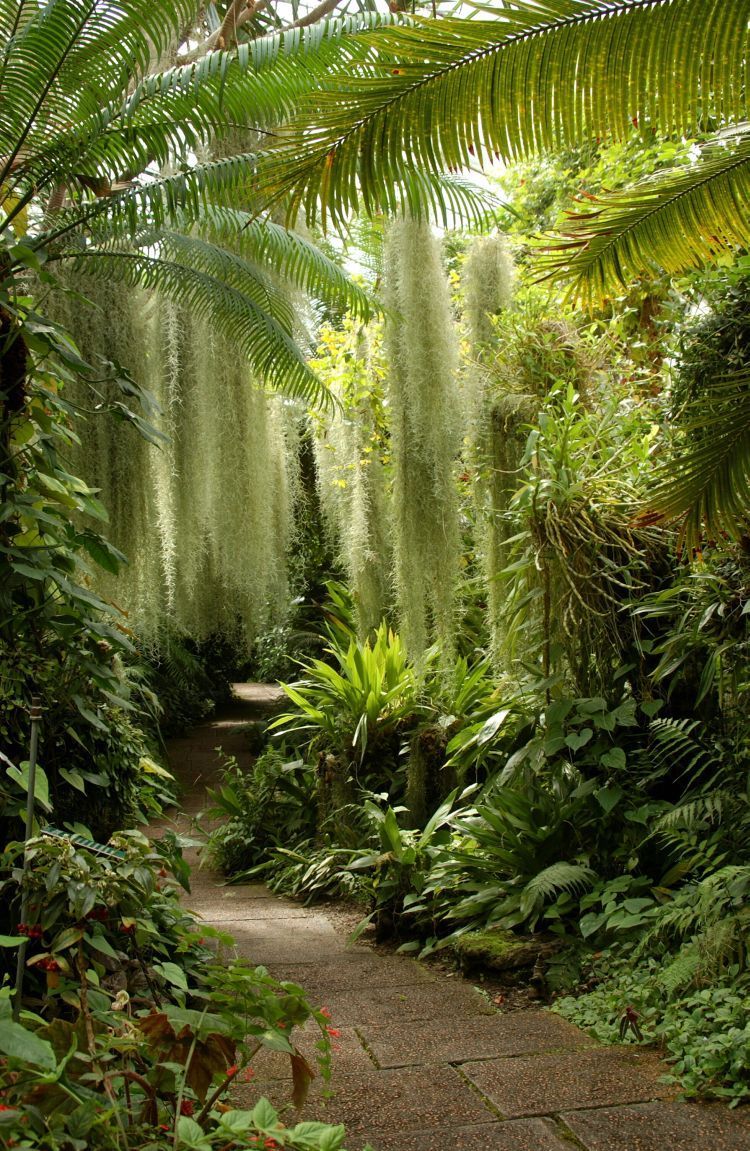 Exploring the Beauty of Botanical Gardens
  Around the World