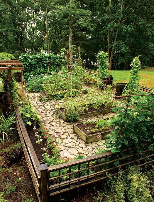 Tips for Starting a Backyard Garden