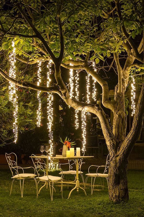 Transform Your Backyard with Landscape
Lighting