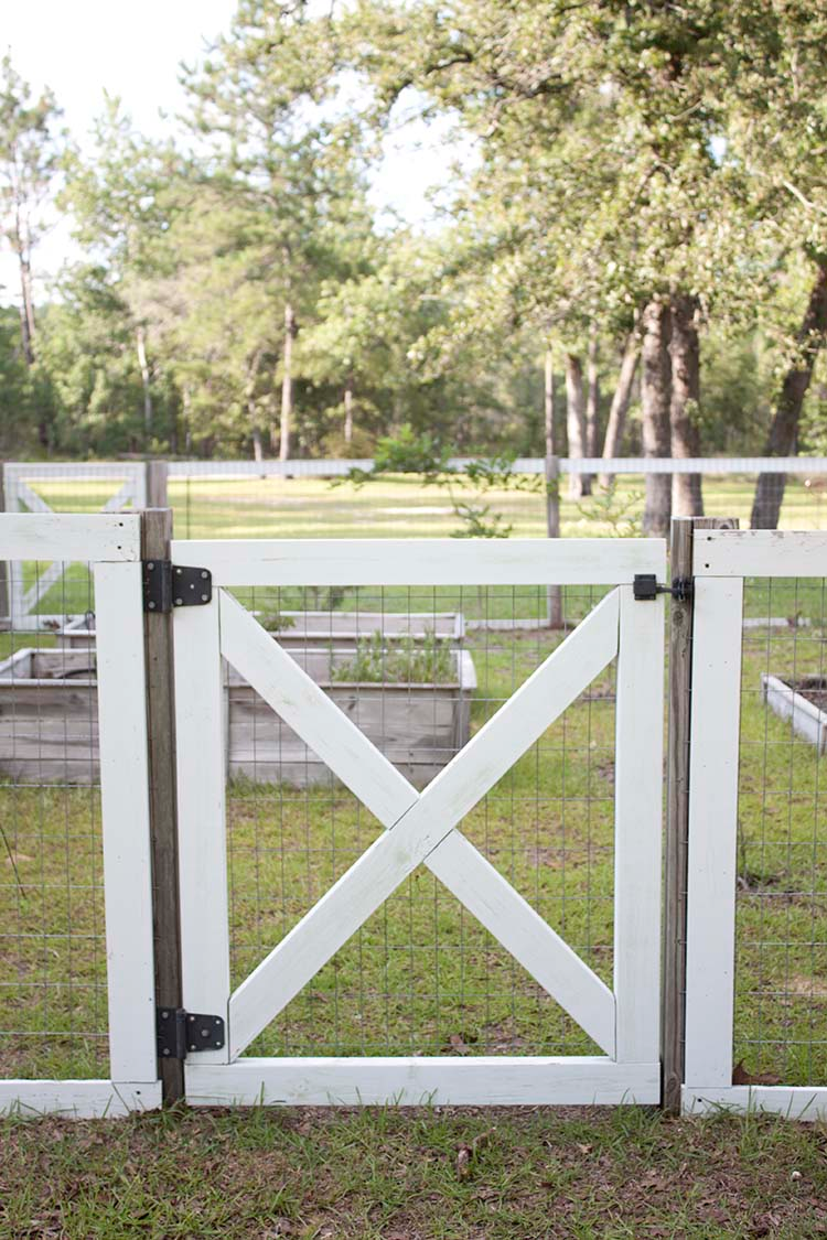 The Ultimate Guide to Choosing Garden
Fencing