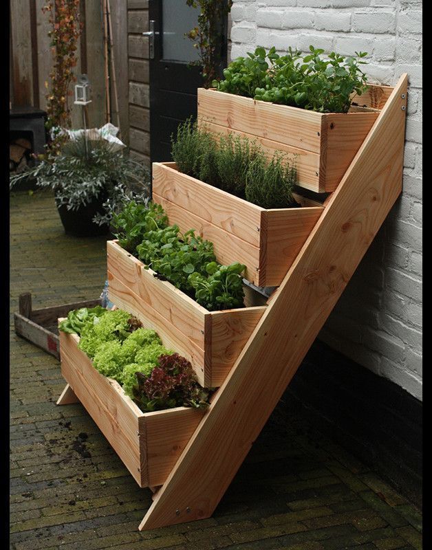 Transform Your Outdoor Space with a
  Raised Garden Bed