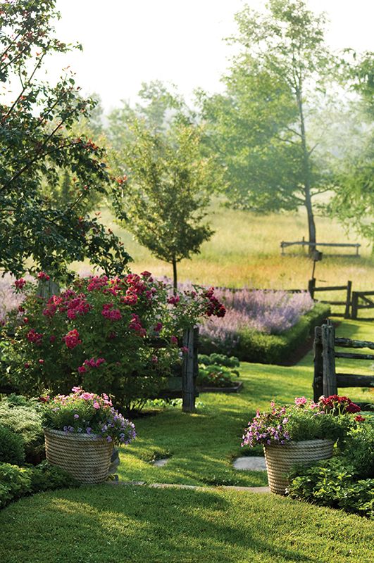 Finding Your Green Thumb: Tips for
  Finding Garden Inspiration