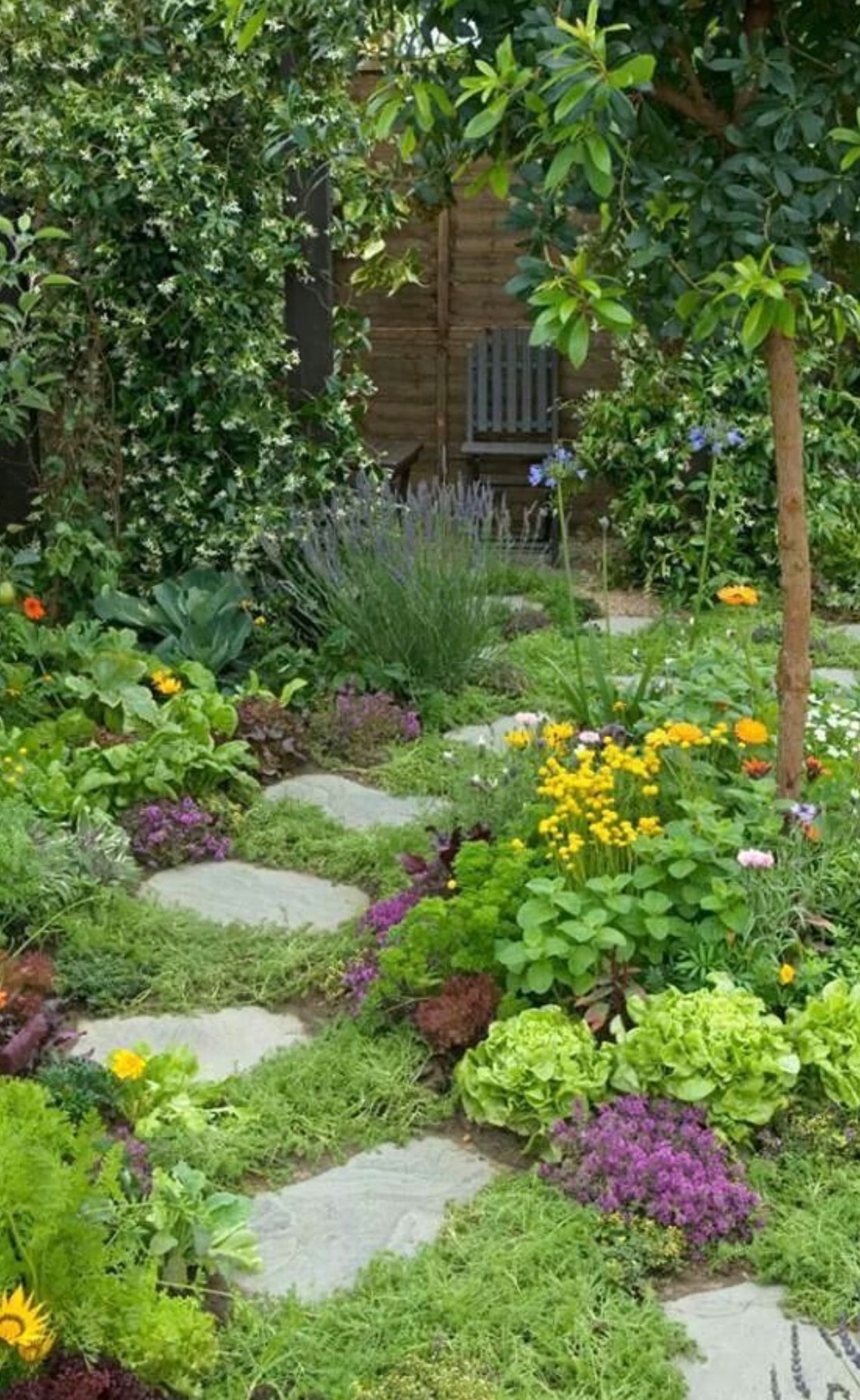 Design Ideas for Unique Garden Stepping
  Stones