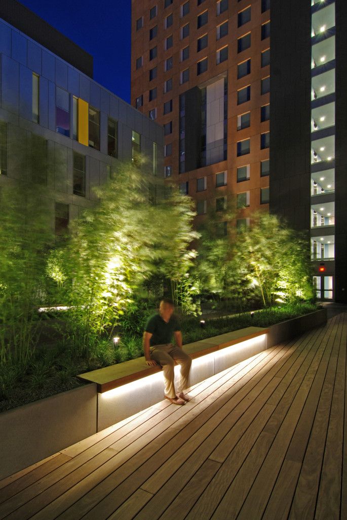 Creating a Beautiful Outdoor Oasis with
Landscape Lighting Design