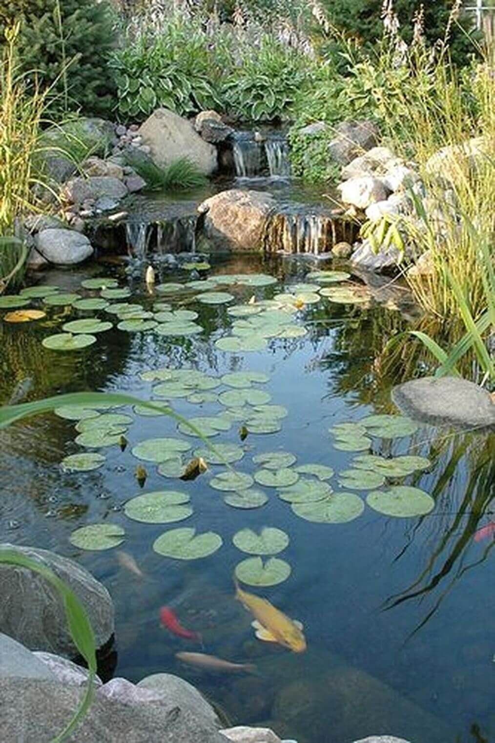 Stunning Pond Designs to Enhance Your
  Outdoor Space