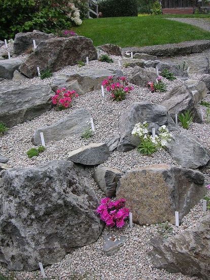 Creating a Stunning Rock Garden: Tips and
  Inspiration