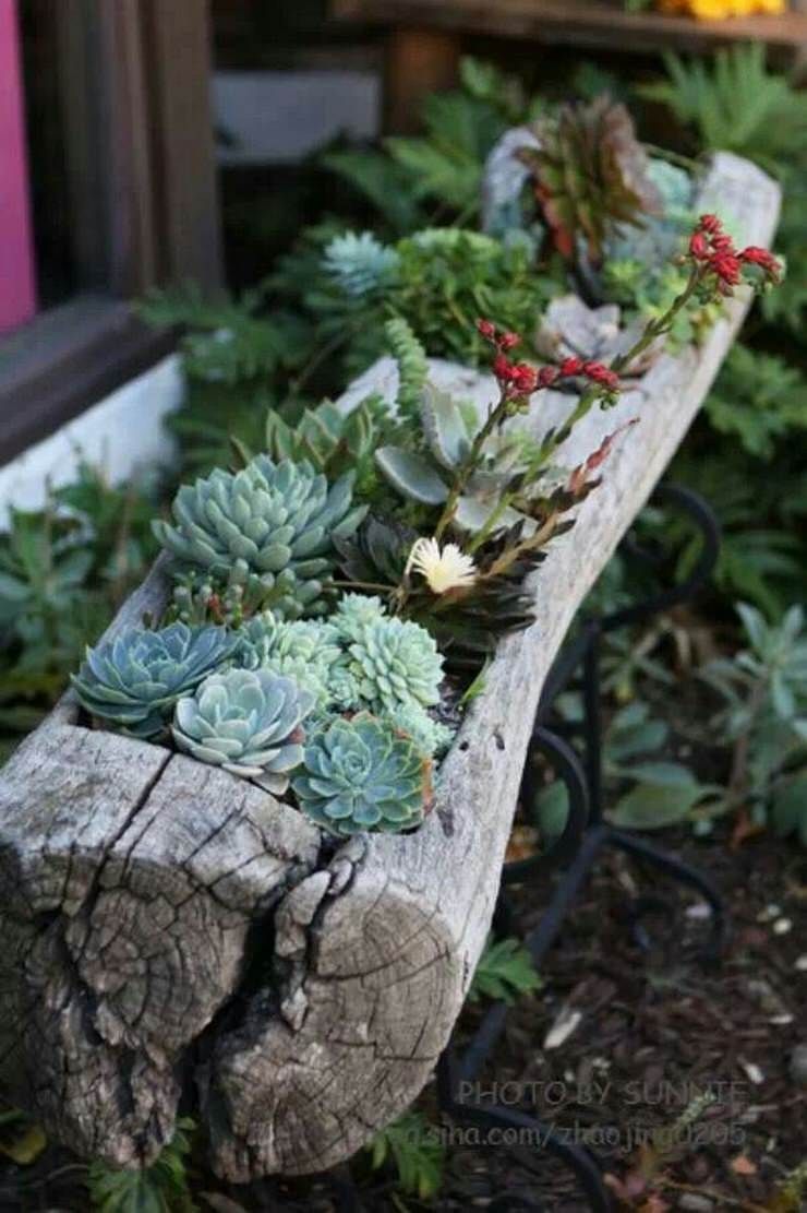 The Benefits of Using Unique Garden
  Containers