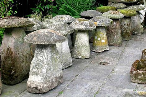 The Timeless Appeal of Stone Garden
Ornaments