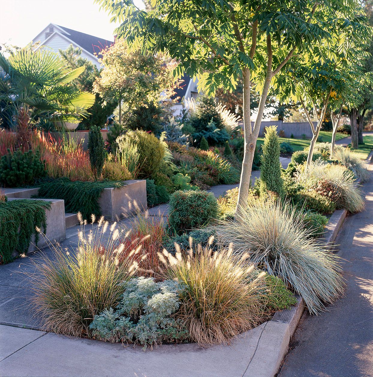 Creative Front Yard Ideas to Enhance Your
  Curb Appeal