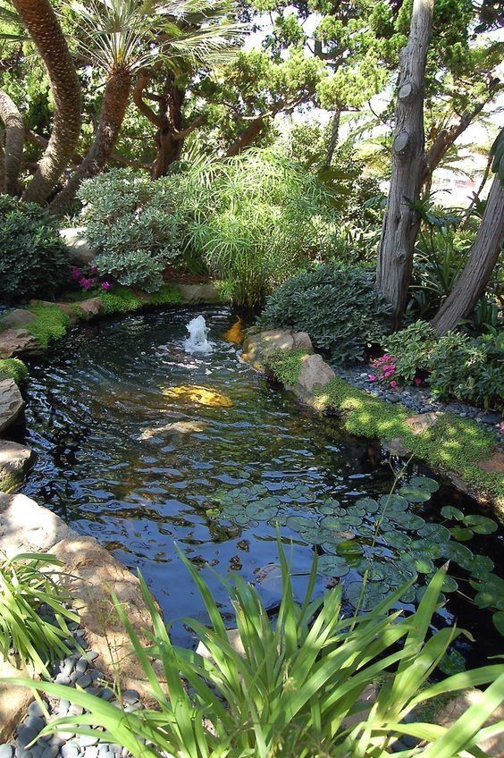 Transform Your Outdoor Space with These
  Stunning Pond Designs