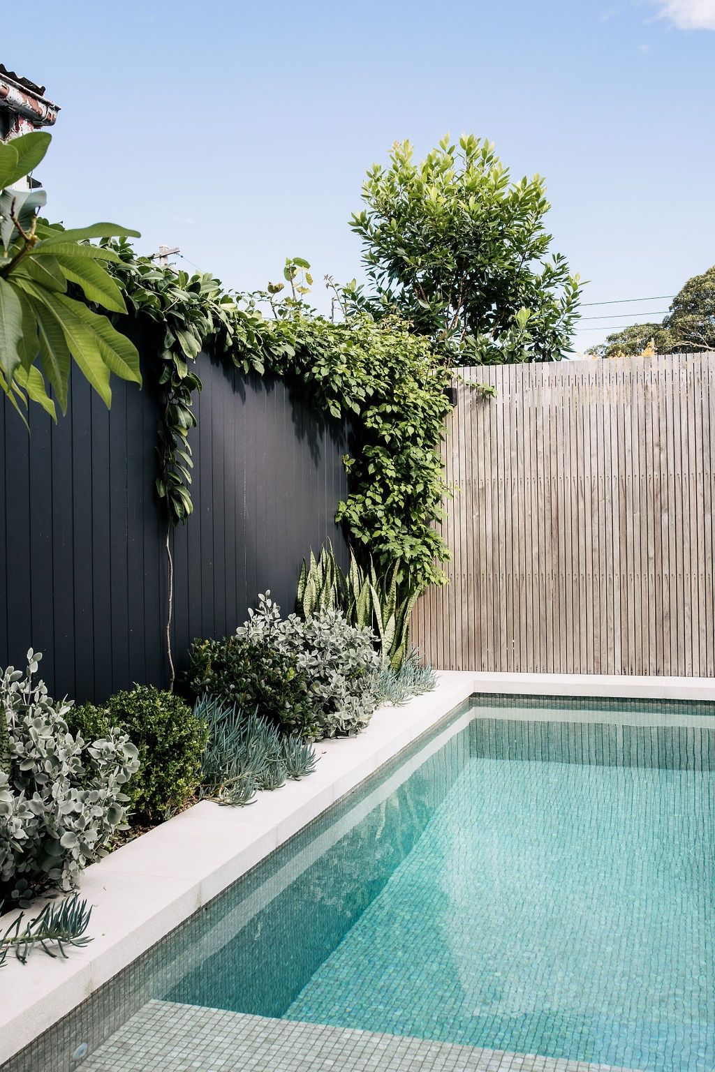 The Ultimate Guide to Small Pool Designs