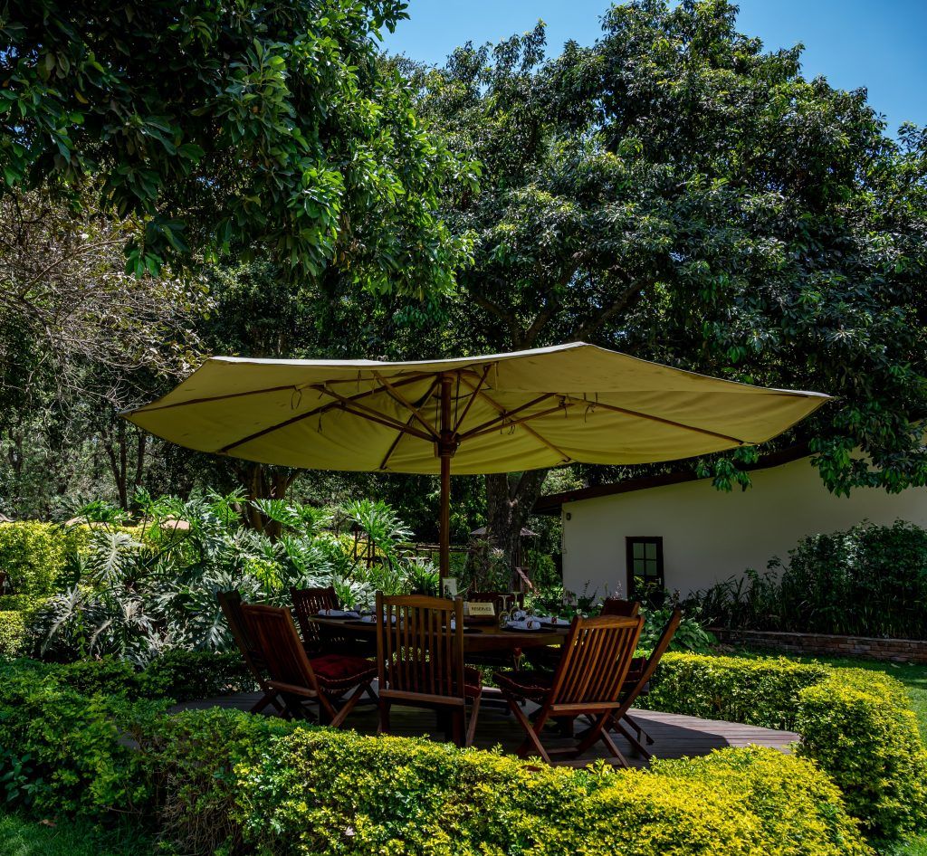 Top Patio Table Umbrella Options for
Every Style