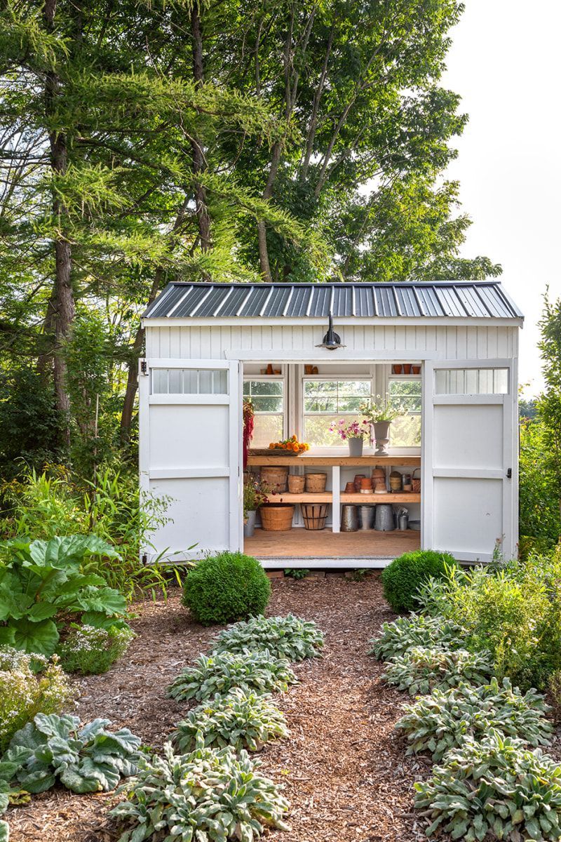 Why Plastic Garden Sheds Are a Popular
  Option for Outdoor Storage