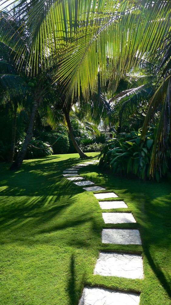 Creating a Peaceful Garden Oasis: Tips
  for Designing Your Landscape