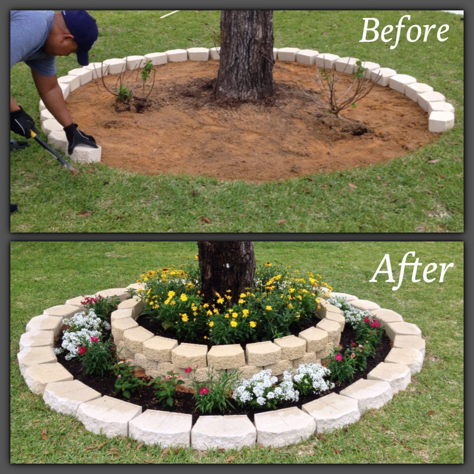 Beginner’s Guide to DIY Landscaping