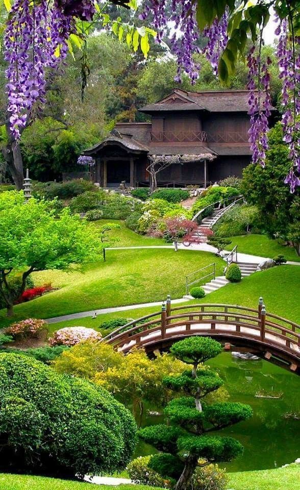 Exploring the Tranquility of Japanese
Gardens