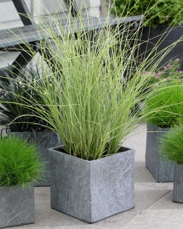 Creative Ways to Use Garden Planters in  Your Outdoor Space