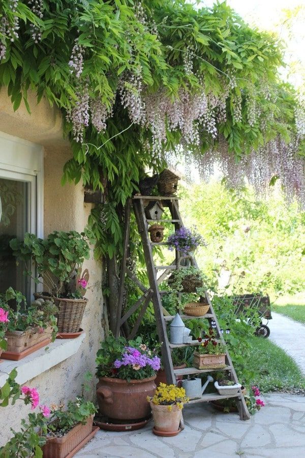 Beautiful Gardens: Finding Inspiration
for Your Outdoor Space
