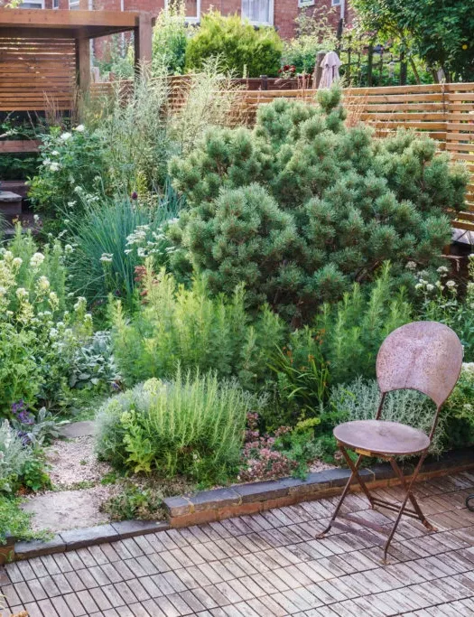 Creating a Charming Small Front Garden:
  Tips and Ideas