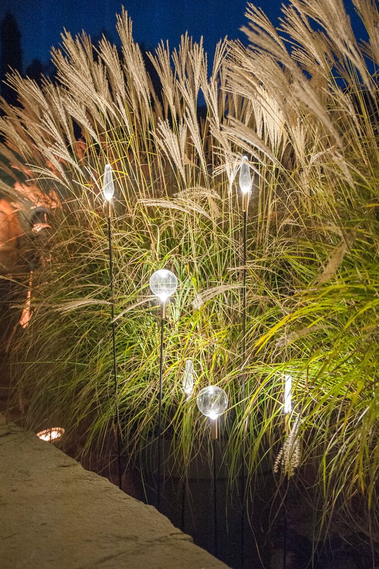 Illuminate Your Outdoor Space: A Guide to
  Landscaping Lights