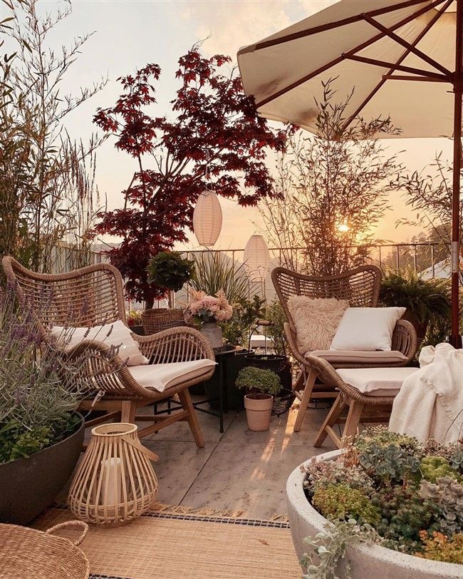 Transform Your Outdoor Space: Terrace
Garden Ideas to Inspire You