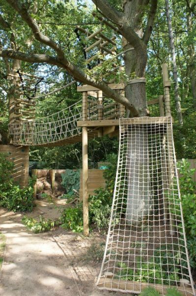 Designing a Safe and Engaging Backyard
  Playground