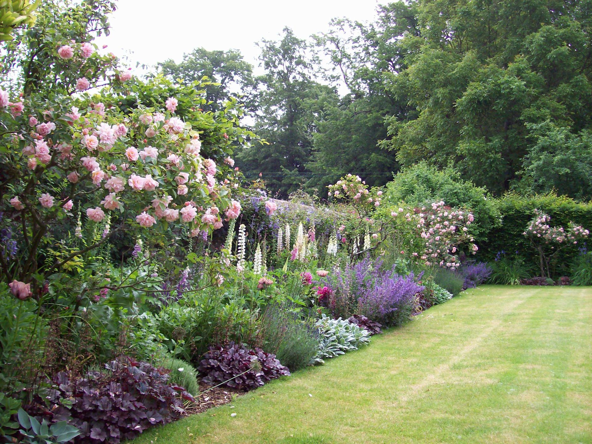 Transform Your Garden with These Border
Ideas