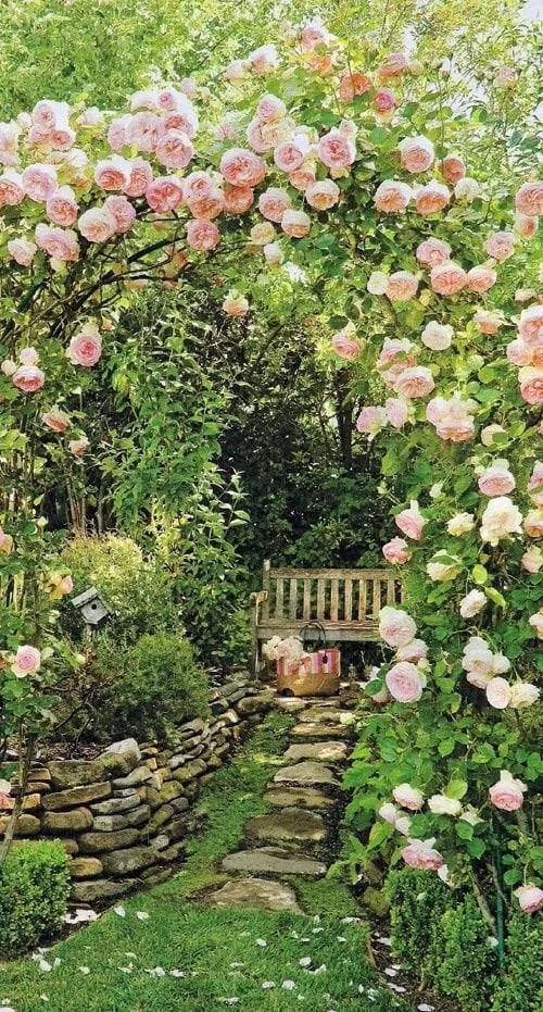 Creating Your Dream Garden: Inspiration
and Ideas