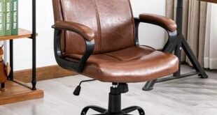 Transforming Our Workspace: A Review of the DYHOME Leather Chair