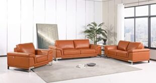 Elevate Our Living Room: A Review of the Weston Leather Set