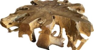 Exploring the Charm of Our Handmade Teak Root Coffee Table