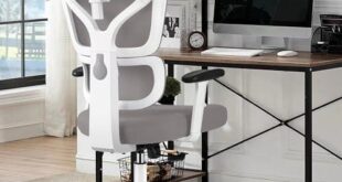 Discovering Comfort: Our Review of the Winrise Ergonomic Chair