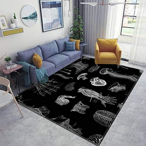 Transform Your Space with Timeless Area Rugs Today!