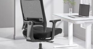 Explore Ergonomic Seating Solutions for Comfort and Style