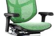 Discovering Comfort: Our Experience with the Ergohuman Chair