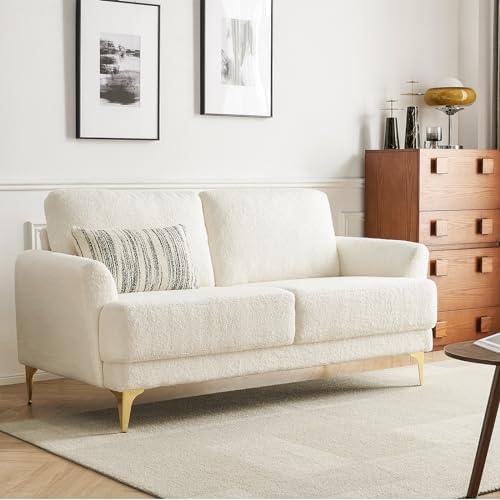 Discovering Comfort: Our Take on the 63” Loveseat Sofa