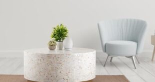 Elevate Our Living Space: Luxe Mother of Pearl Coffee Table Review